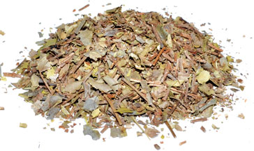 1 Lb Squawvine herb cut - Click Image to Close
