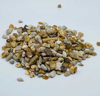 1 lb Fossil Coral tumbled chips 5-8mm - Click Image to Close